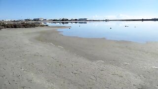 Larnaca Salt Lake — розовые фламинго, а рыбалка где рядом?