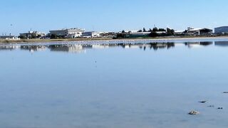 Larnaca Salt Lake — розовые фламинго, а рыбалка где рядом?