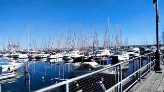 Larnaca Salt Lake — розовые фламинго, а рыбалка где рядом?