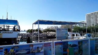 Larnaca Salt Lake — розовые фламинго, а рыбалка где рядом?