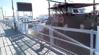 Larnaca Salt Lake — розовые фламинго, а рыбалка где рядом?