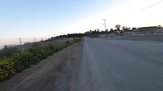 Larnaca — поиски фламинго на соленом озере и рыбалка поблизости