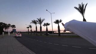 Larnaca — поиски фламинго на соленом озере и рыбалка поблизости