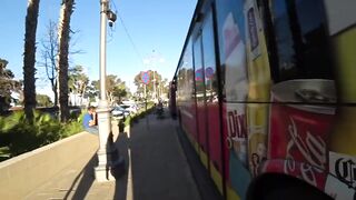 Larnaca — поиски фламинго на соленом озере и рыбалка поблизости