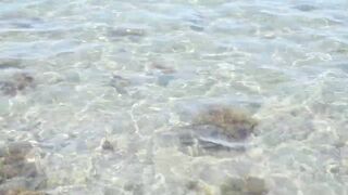 Larnaca, Finikoudes — кальмары у берега ночью на свет