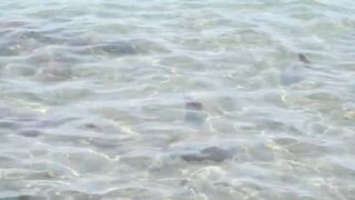 Larnaca, Finikoudes — кальмары у берега ночью на свет