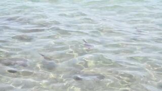 Larnaca, Finikoudes — кальмары у берега ночью на свет