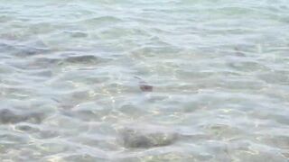 Larnaca, Finikoudes — кальмары у берега ночью на свет