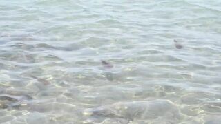 Larnaca, Finikoudes — кальмары у берега ночью на свет