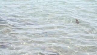 Larnaca, Finikoudes — кальмары у берега ночью на свет