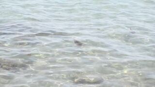 Larnaca, Finikoudes — кальмары у берега ночью на свет