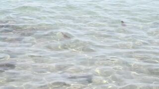 Larnaca, Finikoudes — кальмары у берега ночью на свет