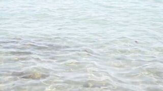 Larnaca, Finikoudes — кальмары у берега ночью на свет