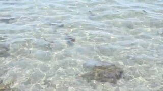 Larnaca, Finikoudes — кальмары у берега ночью на свет