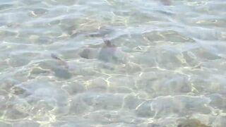 Larnaca, Finikoudes — кальмары у берега ночью на свет