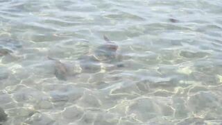 Larnaca, Finikoudes — кальмары у берега ночью на свет