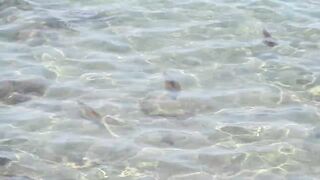 Larnaca, Finikoudes — кальмары у берега ночью на свет