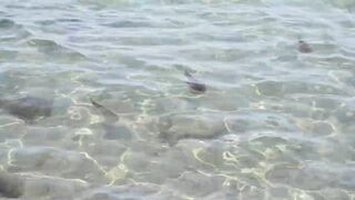 Larnaca, Finikoudes — кальмары у берега ночью на свет