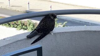 Пиргос, Ladies Mile Beach: штиль, волна и вечерняя рыбалка у косы