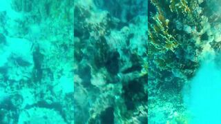 Риф у берега Лимассола: рыбалка или снорклинг, что выбрать?