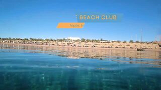 Aqaba, South Beach — подводный мир и где бросать снасть