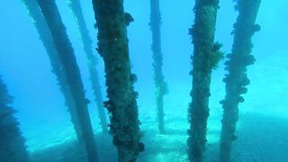 Aqaba, South Beach — подводный мир и где бросать снасть