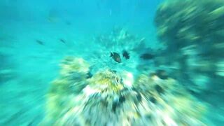 Aqaba, South Beach — подводный мир и где бросать снасть