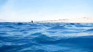 Aqaba, South Beach — где лучше клюёт у камней и травы