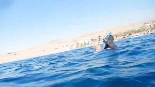 Aqaba, South Beach — где лучше клюёт у камней и травы