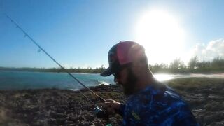 Eleuthera, Governors Harbour - жёлтые джейки с пляжа: как ловить