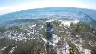 Eleuthera, Governors Harbour - жёлтые джейки с пляжа: как ловить