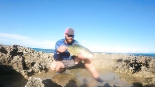 Eleuthera, Governors Harbour - жёлтые джейки с пляжа: как ловить