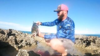 Eleuthera, Governors Harbour - жёлтые джейки с пляжа: как ловить