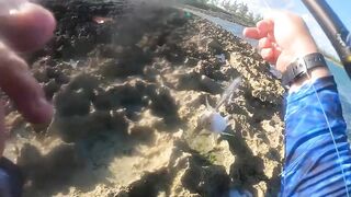 Eleuthera, Governors Harbour - жёлтые джейки с пляжа: как ловить