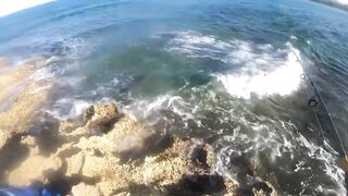 Eleuthera, Governors Harbour - жёлтые джейки с пляжа: как ловить