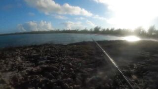 Eleuthera, Governors Harbour - жёлтые джейки с пляжа: как ловить