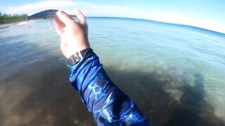 Eleuthera, Governors Harbour - жёлтые джейки с пляжа: как ловить