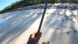 Eleuthera, Governors Harbour - жёлтые джейки с пляжа: как ловить