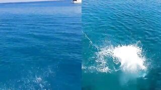 Konnos Bay — прыжки с лодки и рыбалка у гротов совместимы?