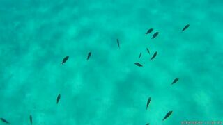 Konnos Bay, Cyprus — подводные проходы и рыбалка с берега