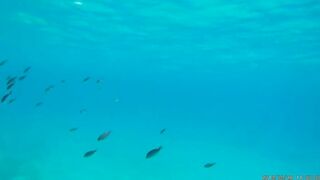 Konnos Bay, Cyprus — подводные проходы и рыбалка с берега