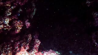 Konnos Bay — swimthroughs и риф: можно ли тут с удочкой?