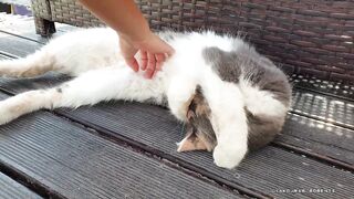 Akamas Blue Lagoon — лодочный выход и прозрачная вода