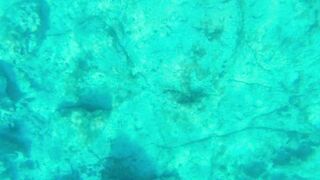 Cyprus 2021, Cape Greco - Blue Lagoon и снорклинг, есть ли клев?