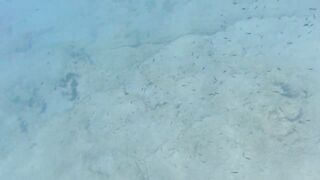 Cyprus 2021, Cape Greco - Blue Lagoon и снорклинг, есть ли клев?