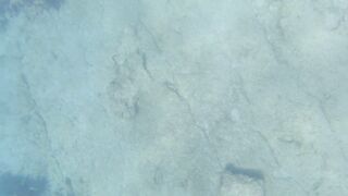 Cyprus 2021, Cape Greco - Blue Lagoon и снорклинг, есть ли клев?