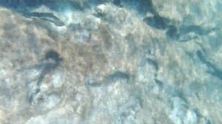 Cyprus 2021, Cape Greco - Blue Lagoon и снорклинг, есть ли клев?