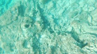 Cyprus 2021, Cape Greco - Blue Lagoon и снорклинг, есть ли клев?