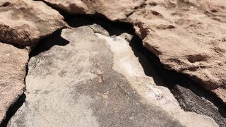 Cape Greco, Ayia Napa: 8 дел в округе, рыбалка включена