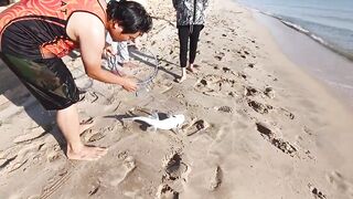 Mesaieed, Sealine Area — берег и свалы: где ловить с берега